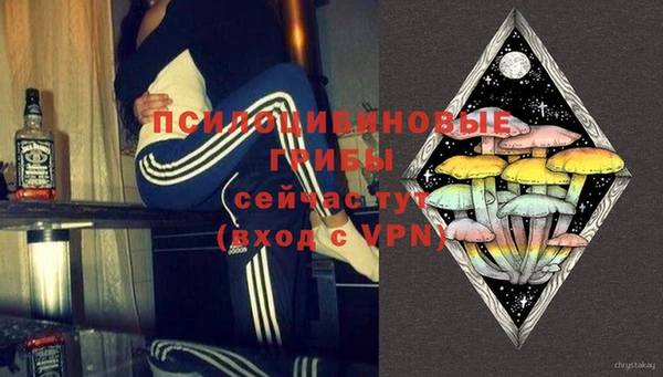 не бодяженный Инсар