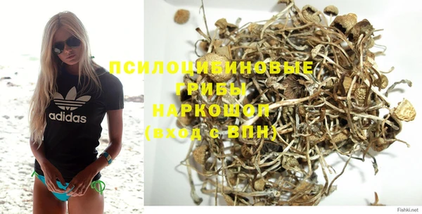 метамфетамин Инта