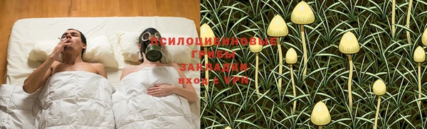 не бодяженный Инсар