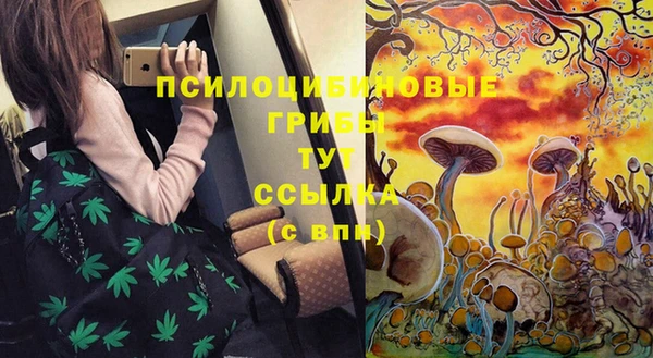 не бодяженный Инсар