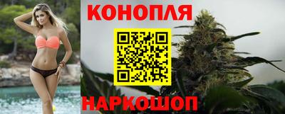 сатива Будённовск