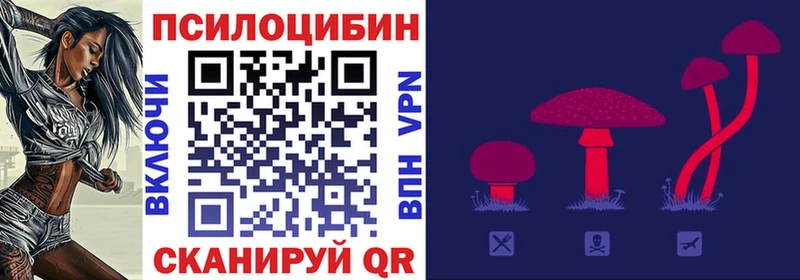 закладки  Учалы  Галлюциногенные грибы GOLDEN TEACHER 