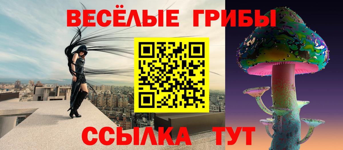Галлюциногенные грибы Cubensis  Вход с VPN  Учалы  Галлюциногенные грибы Psilocybe 